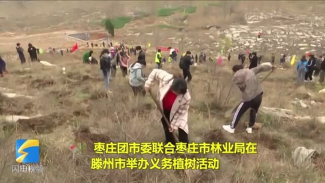 美化环境贡献青春力量 枣庄300余名志愿者掀起春季义务植树高潮