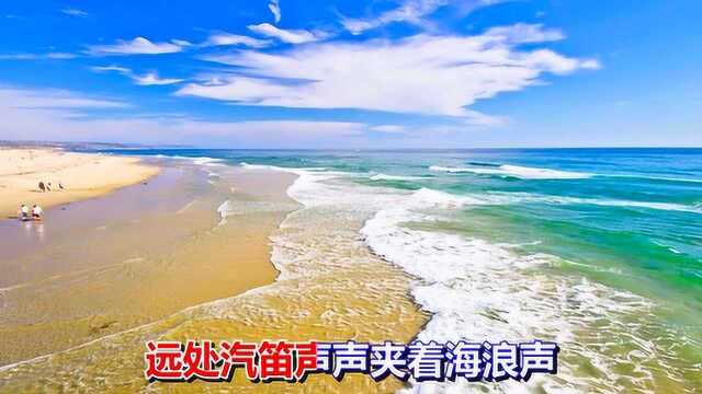 一首经典老歌《惜别的海岸》