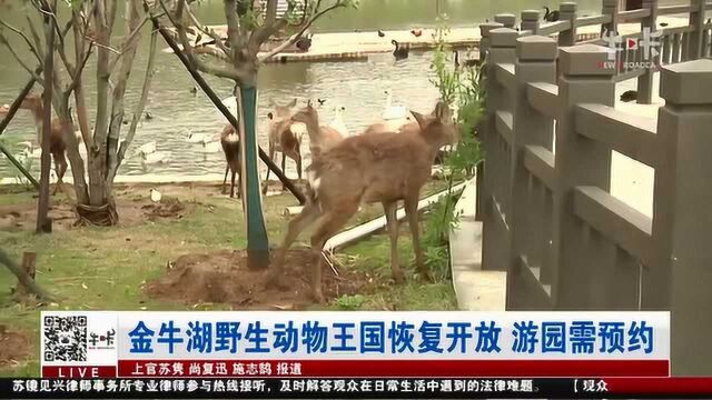 南京金牛湖野生动物王国恢复开放 游园需预约