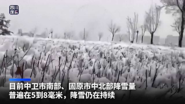 宁夏固原下雪了,一片白雪皑皑,当地气象台发布暴雪蓝色预警