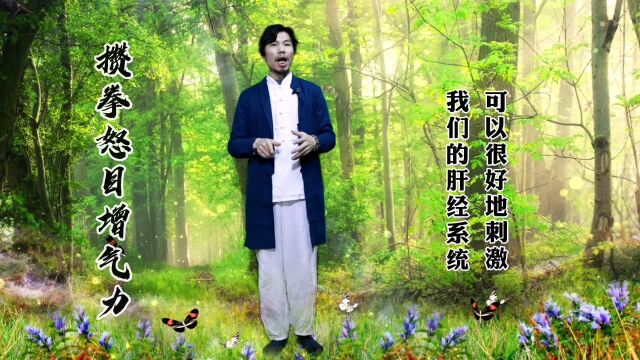 传统养生八段锦第七式:攒拳怒目增气力