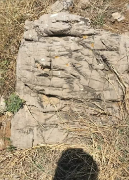 来到荒山野岭的地方捡石头，收获还不少呢！