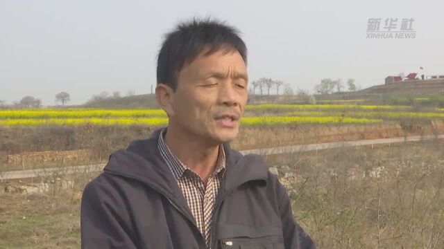 河北磁县:植树扩绿 盘活“四荒”地