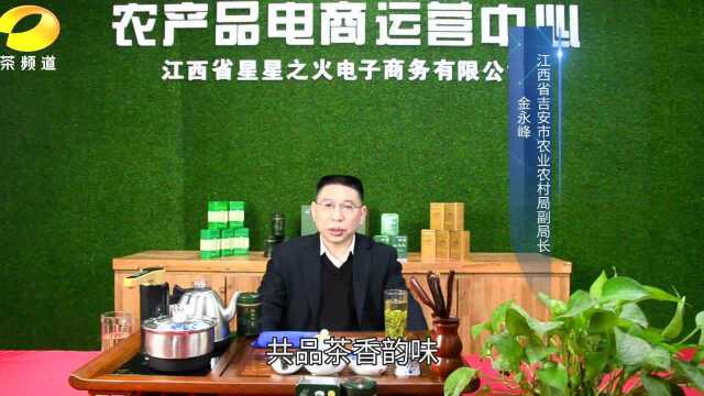 “县长向前冲,茶区来直供”吉安农业农村局副局长为狗牯脑助力!