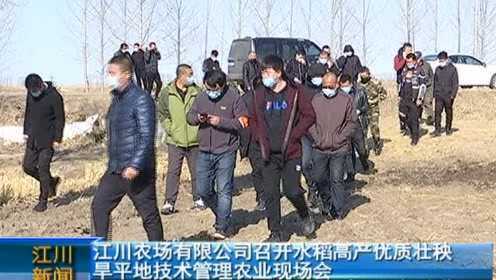 Thumbplayer Poster Plugin Image