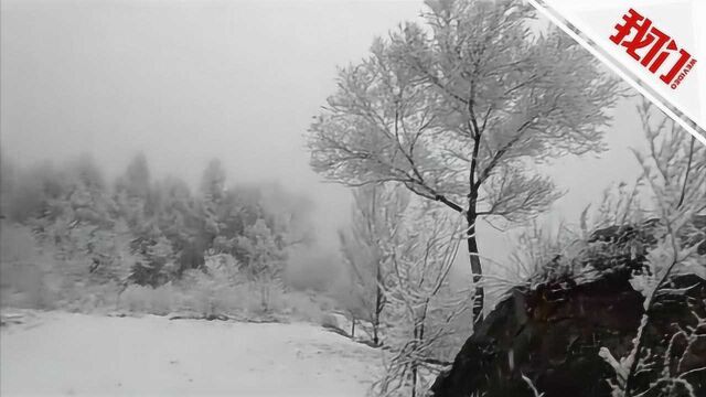 有料丨北京房山等地4月飘雪白茫茫一片 气象局高级工程师揭秘:并不罕见