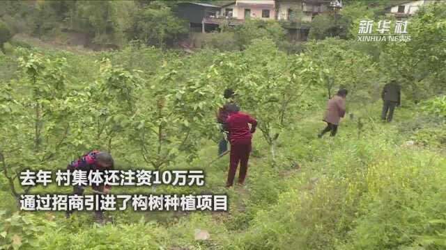 重庆丰都贫困村换新颜