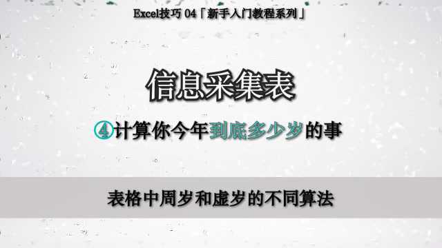 Excel 05「信息采集表」 表格中周岁和虚岁的不同算法