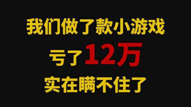 我们花一年时间做了款小游戏,结果亏了12万