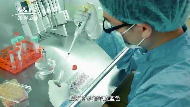 东阳光冬虫夏草对肿瘤细胞生长的抑制作用实验,实验结果利好!