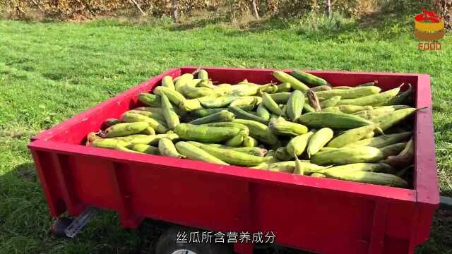 丝瓜加一物,效果堪比“泻药”,常吃清肠排毒,体重悄悄降