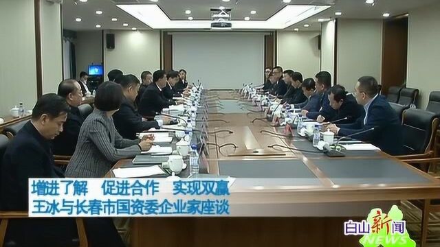 增进了解 促进合作 实现双赢 王冰与长春市国资委企业家座谈