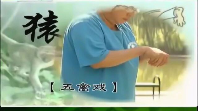 中华医药五禽戏