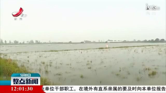 樟树:强降雨致千亩农田被淹