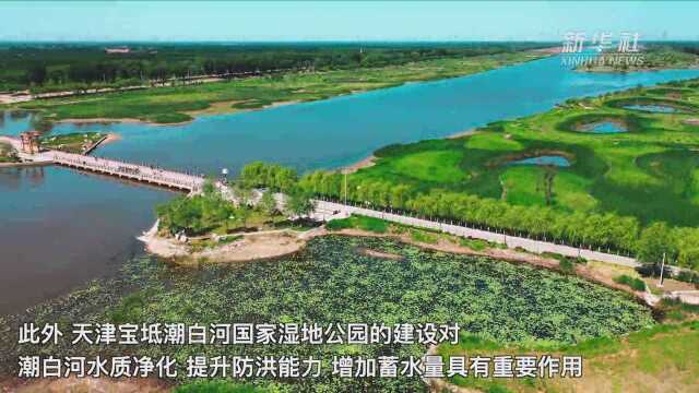 航拍天津宝坻潮白河国家湿地公园