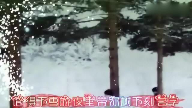 蔡献华演唱的《雪花儿飘》