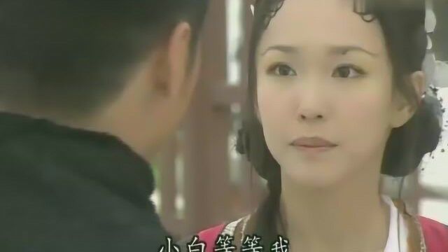 青蛇外传白素贞和黑蛇进宫救许仙,无奈皇上神光护体,近不了身