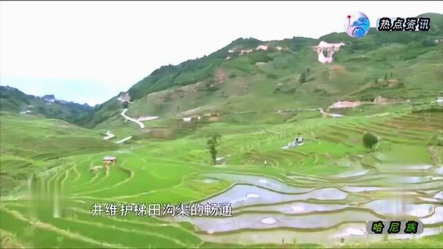 走进云南大山深处红河哈尼族的山寨:70岁老人50年来坚持做梯田分水人