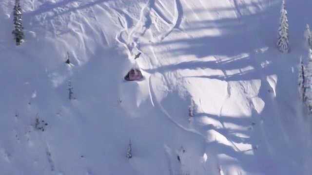 极限滑雪:有生之年都不会尝试的运动,危险系数太高