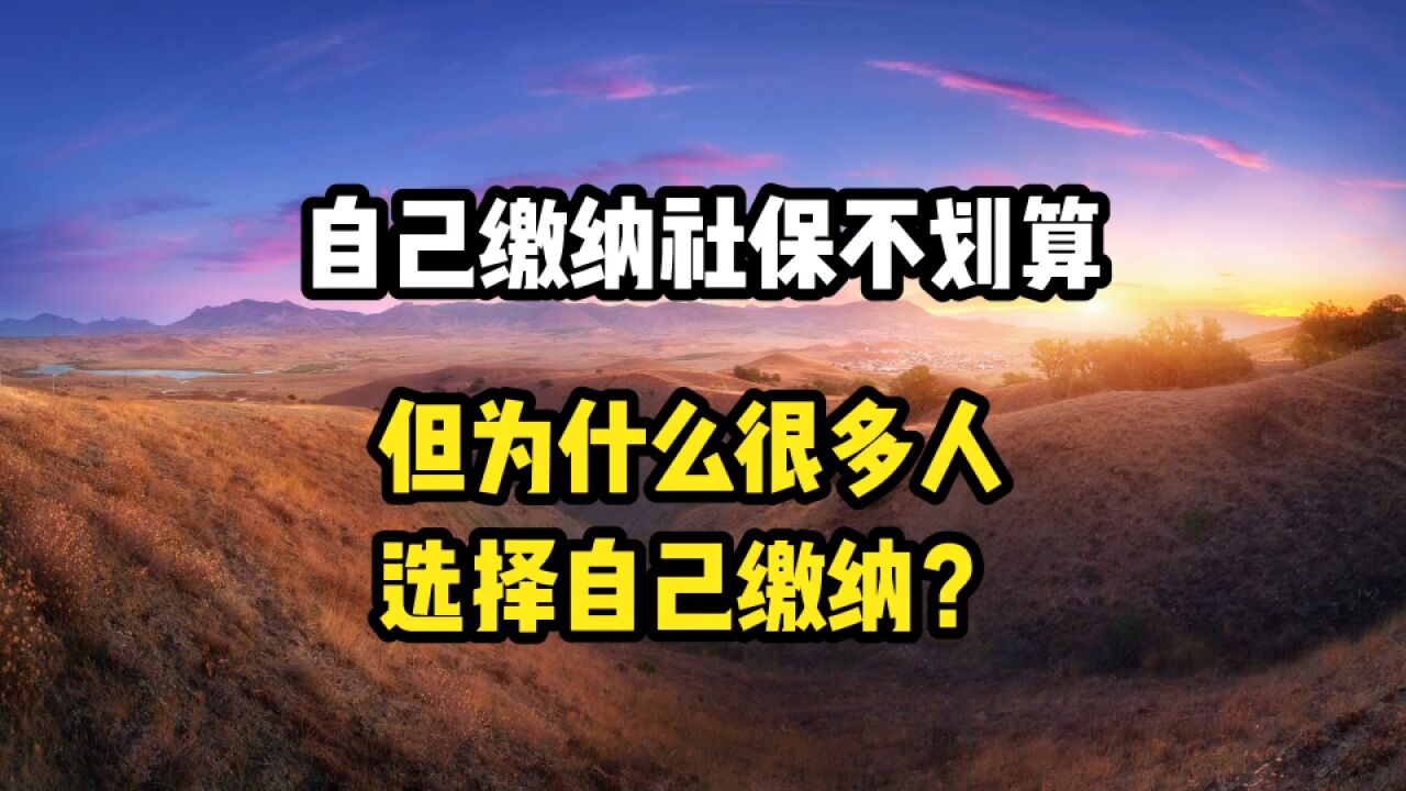 自己缴纳社保不划算,但为什么很多人,选择自己缴纳呢?