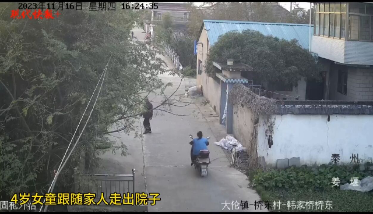 4岁女童跑出院子被撞倒,警方判其承担主责