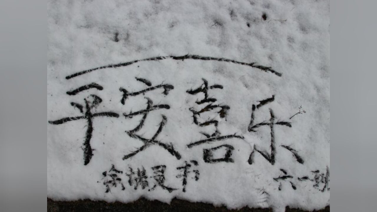 一支笔,一场雪,铺就了一地墨香