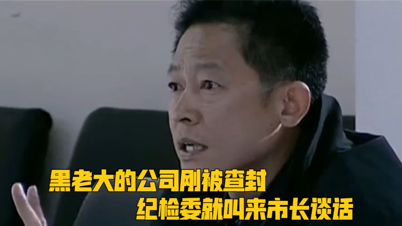 黑老大的公司刚被查封,纪检委就叫来市长谈话,查清背后资金来源