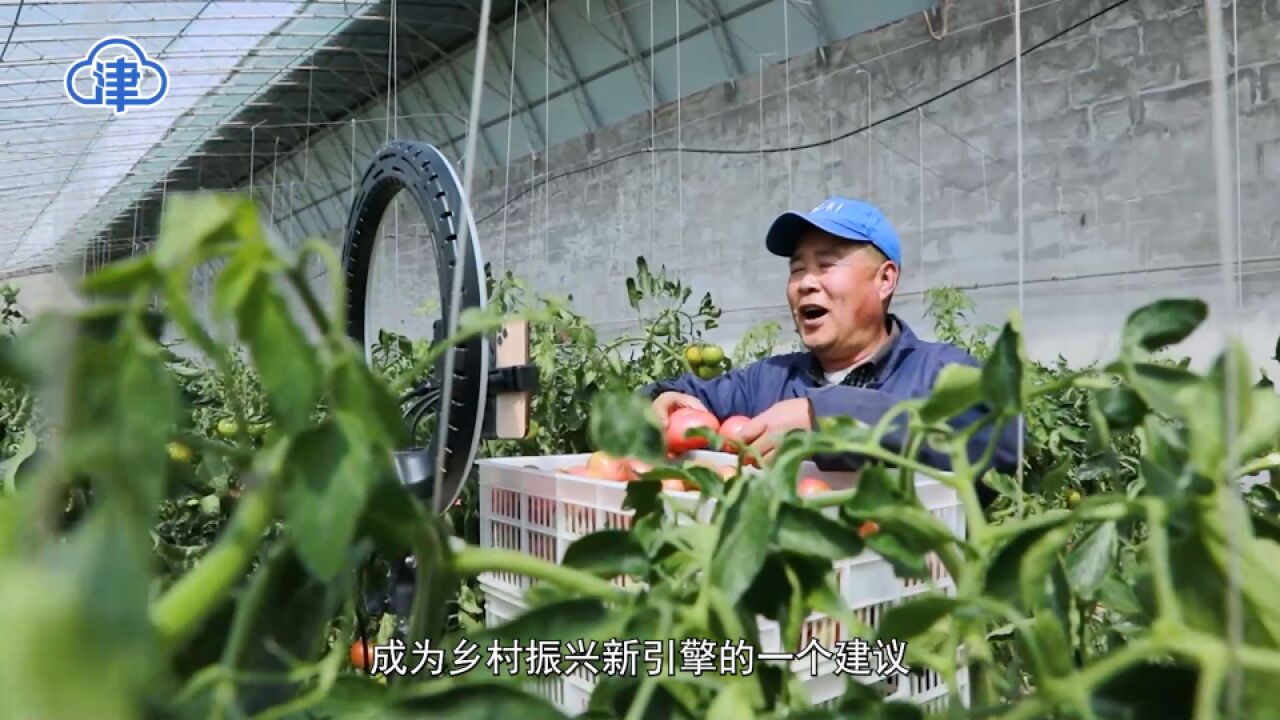 两会新视野 | 张建芳:让“新媒体+”成为乡村振兴新引擎