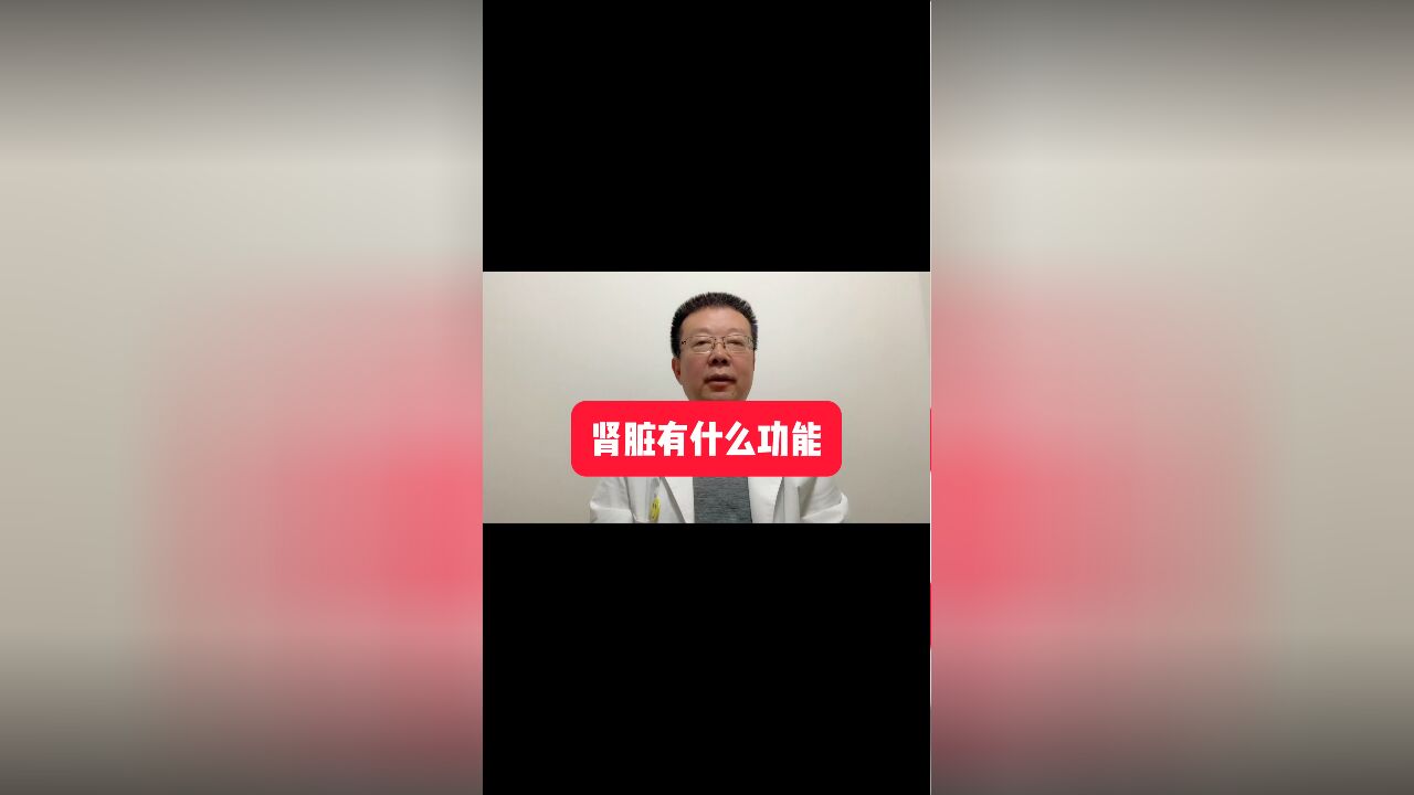 肾脏有什么功能?|养肾宝典