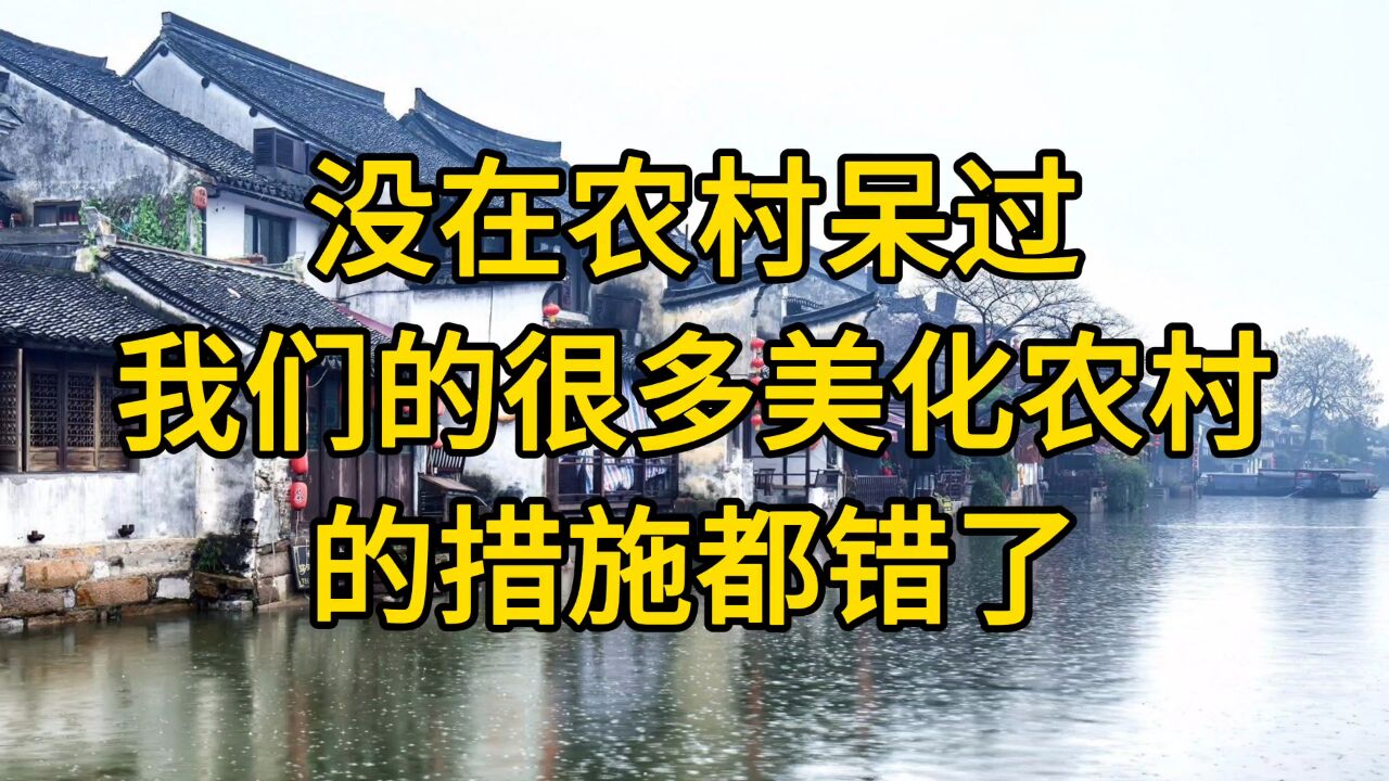 没在农村呆过我们的很多美化农村的措施都错了