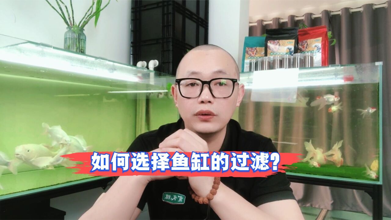 如何选择鱼缸的过滤设备?