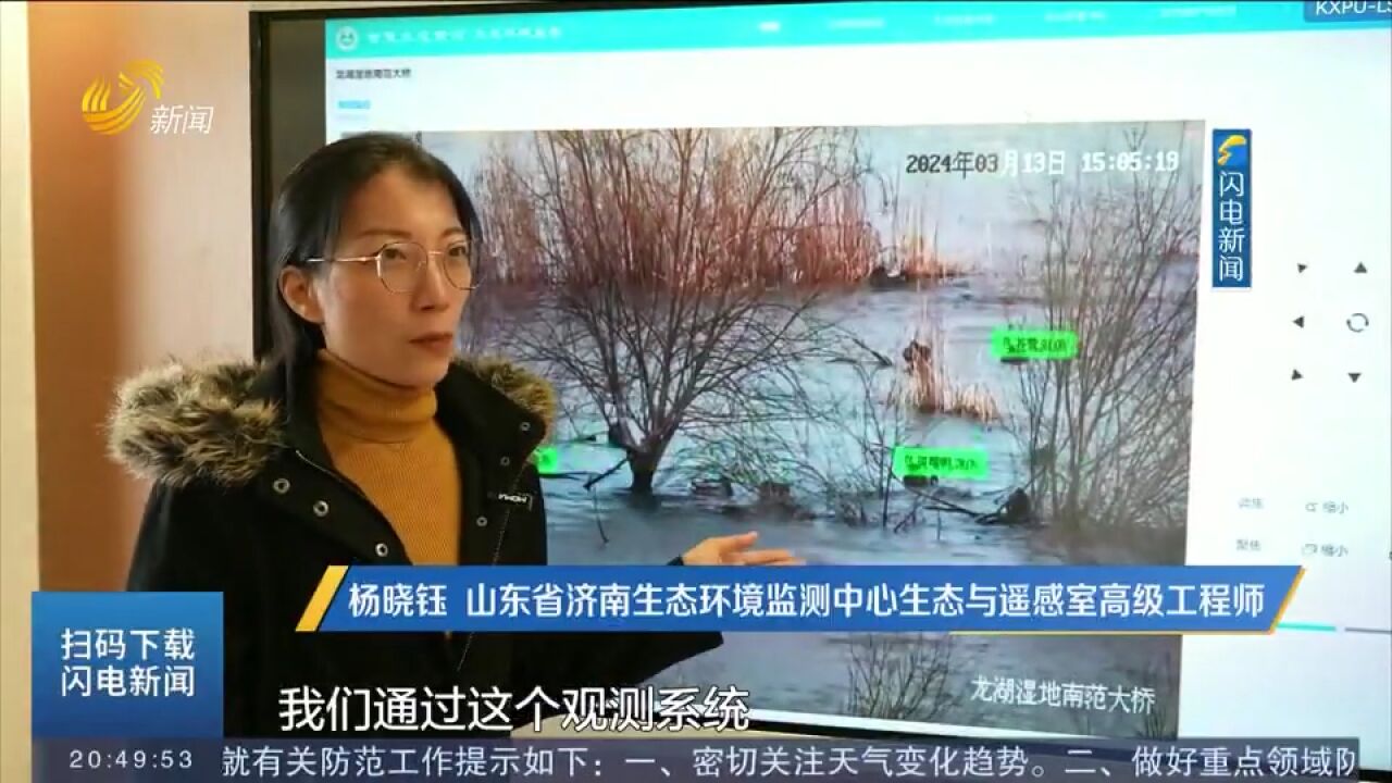 济南新旧动能转换起步区:“慧眼”识鸟系统为生物多样性保驾护航