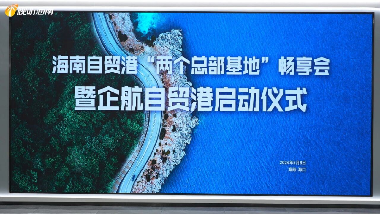 企航自贸港一站式服务平台正式上线 助力海南打造“两个总部基地”