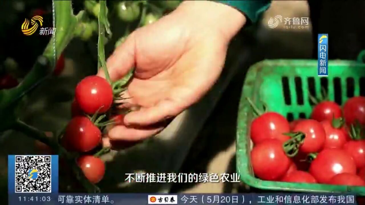 齐鲁样板成色足,关于乡村振兴他们这样说