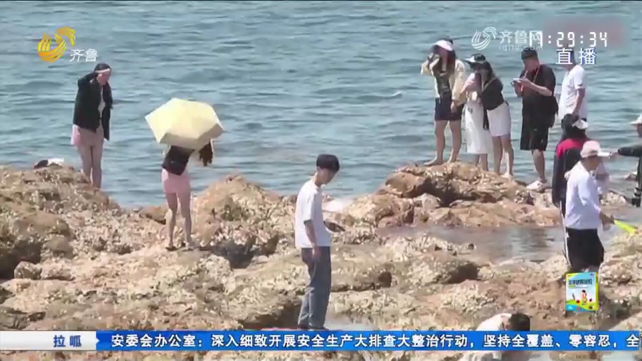 青岛“巧克力大爷”教您防溺水,在海边游玩时要提前查看潮汐表