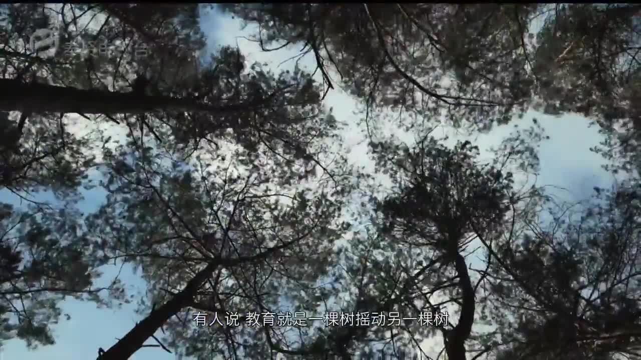 20240707滨海纪事完整版