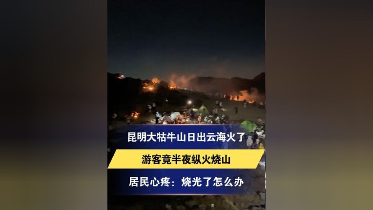 昆明大牯牛山日出云海火了 游客竟半夜纵火烧山 居民心疼:烧光了怎么办“矮的灌木丛全点了 开花时候特别漂亮”