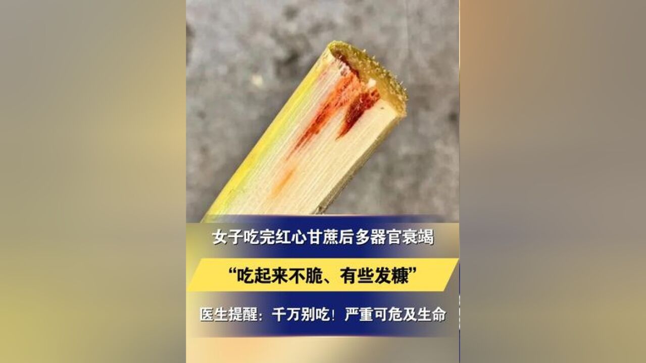 女子吃完红心甘蔗后多器官衰竭“吃起来不脆、有些发糠”“红心”“黑心”甘蔗受到了霉菌污染医生提醒:千万别吃!严重可危及生命