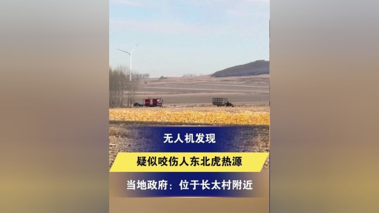 无人机发现疑似咬伤人东北虎热源当地政府:位于长太村附近