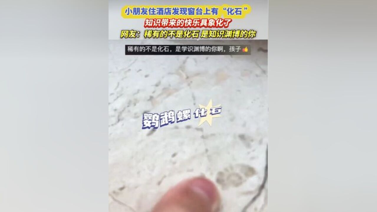 小朋友住酒店发现窗台上有“化石 ”,知识带来的快乐具象化了,网友:稀有的不是化石,是知识渊博的你