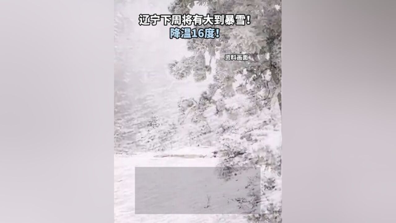 辽宁下周将有大到暴雪!降温16度!