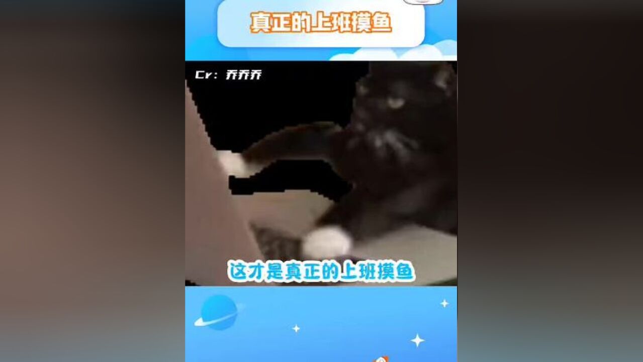 这才是真正的上班摸鱼