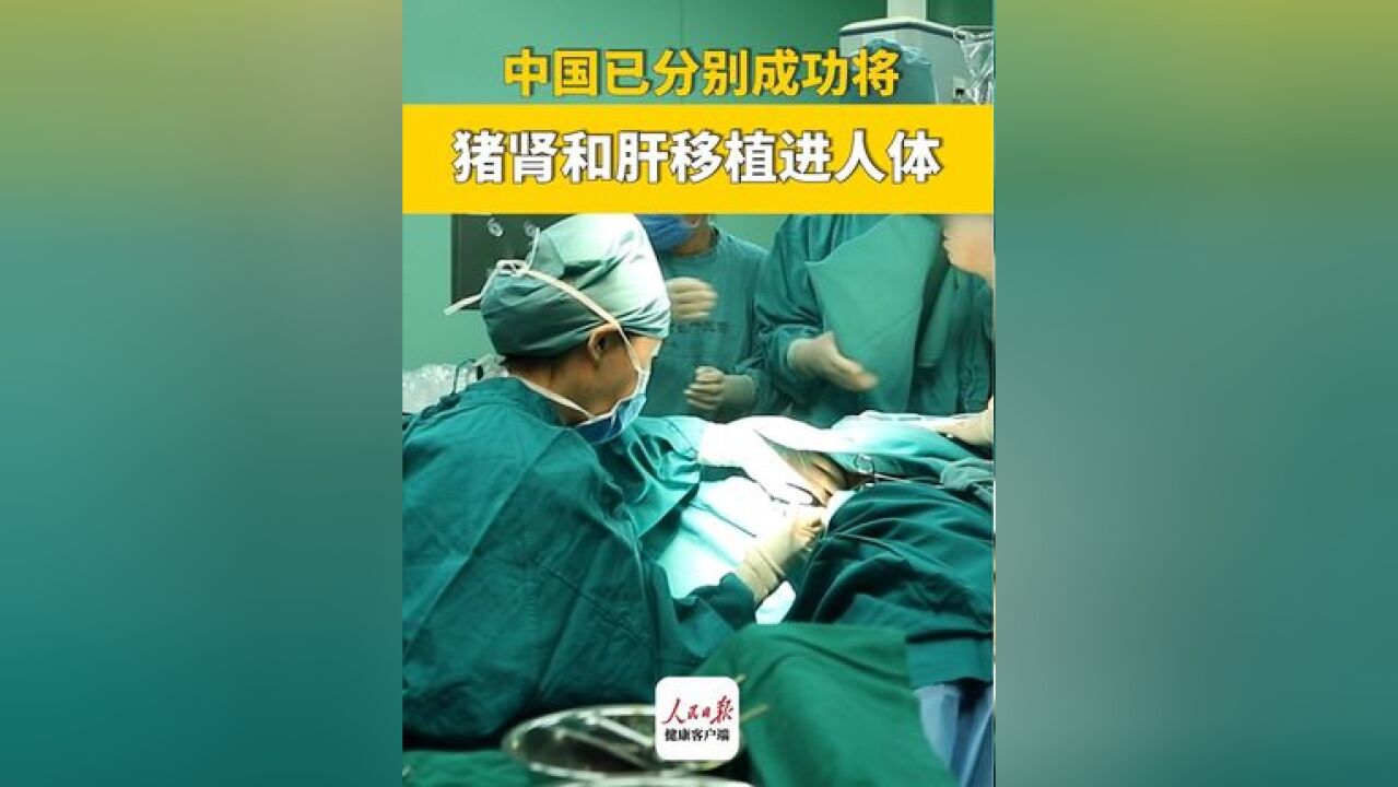 中国已分别成功将猪肾和肝移植进人体