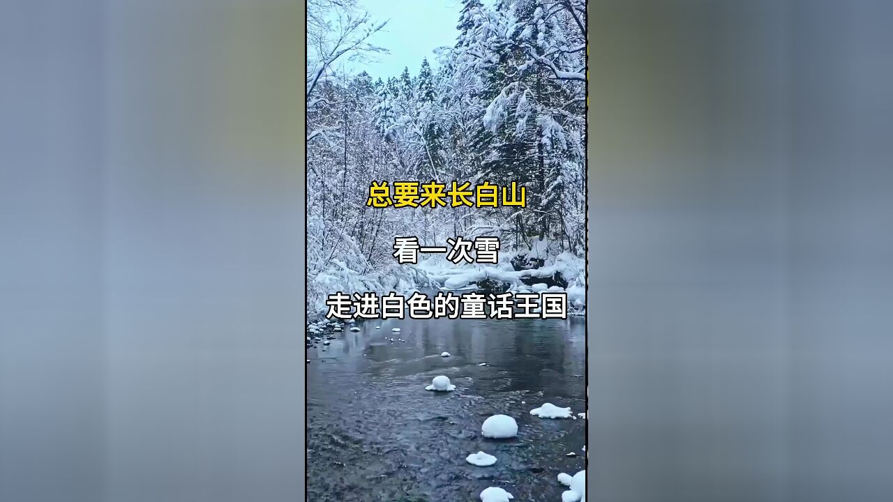 长白山雪景:总要来一次,走进白色童话王国,体验极致浪漫北国风光!