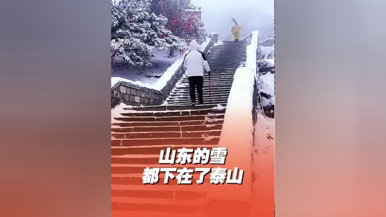 泰山迎来今冬首场降雪,2024年冬天的第一场雪来山东看吧