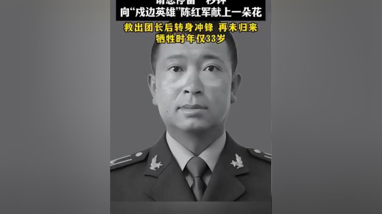 请您停留一秒钟,向“戍边英雄”陈红军献上一朵花