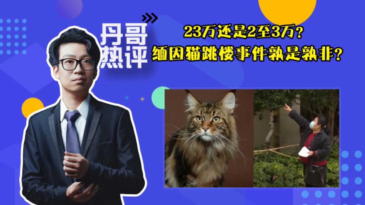 23万还是2至3万?缅因猫跳楼事件孰是孰非?