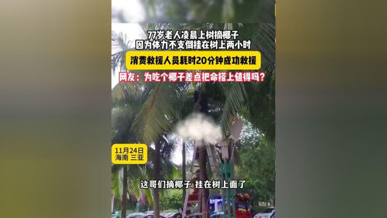 77岁老人凌晨上树摘椰子,因为体力不支被倒挂在树上两小时,网友:为吃个椰子差点把命搭上,值得吗?