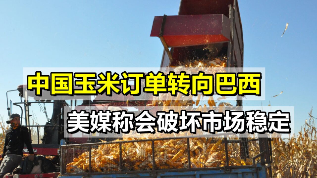 中国玉米订单转向巴西,美媒酸了:不从美购买,会破坏市场稳定