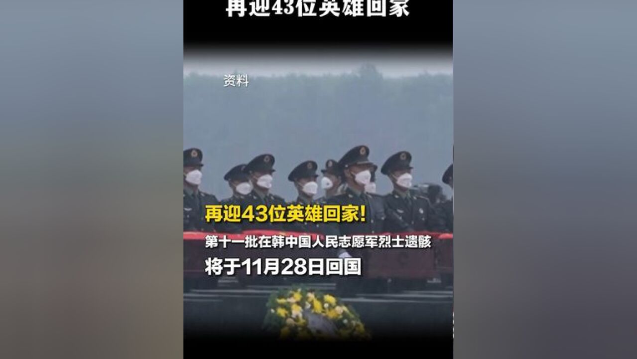 再迎43位英雄回家!第十一批在韩中国人民志愿军烈士遗骸将于11月28日回国.